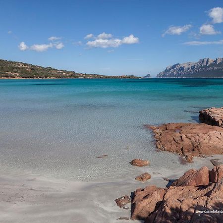 Aria Di Vacanza - Gelsi Ольбія Екстер'єр фото