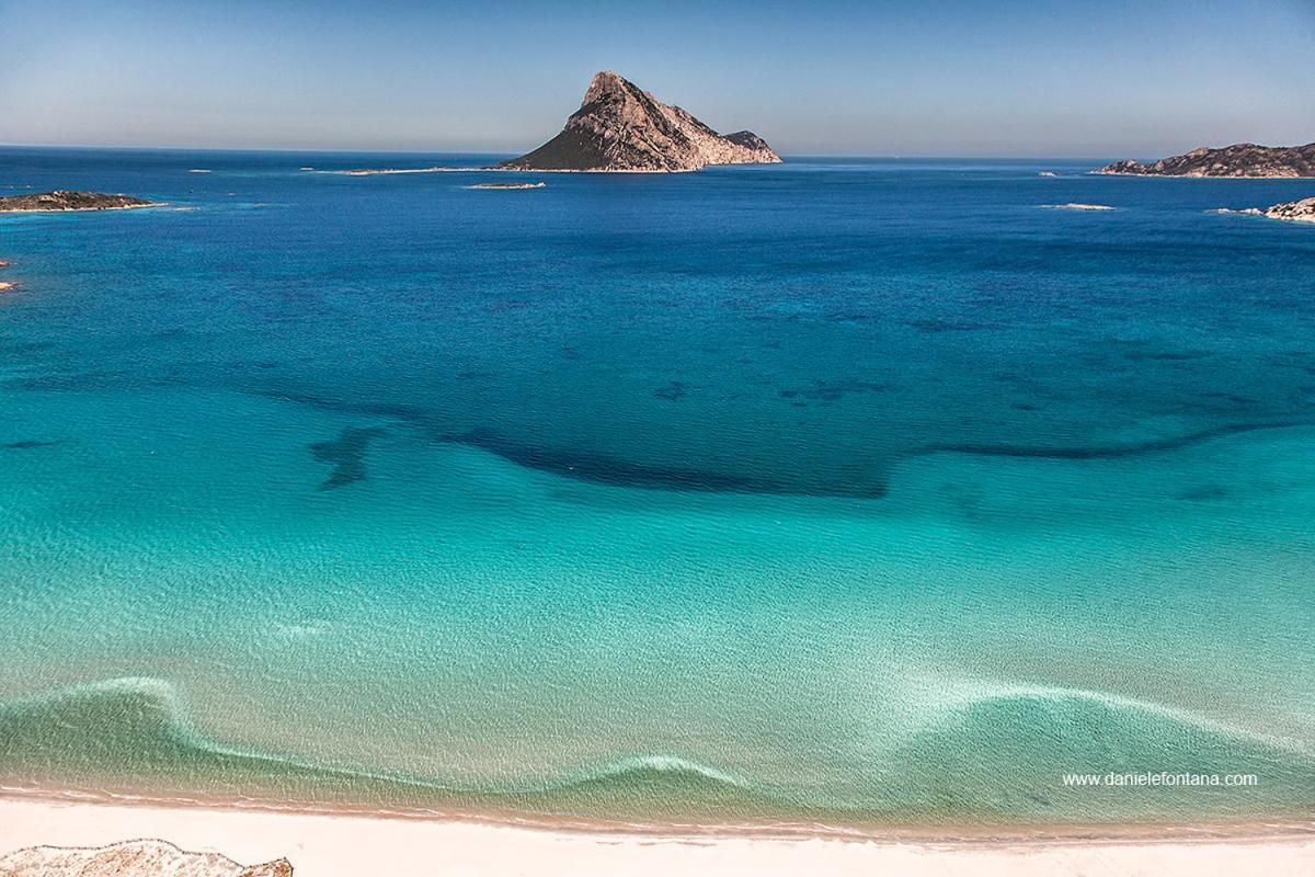 Aria Di Vacanza - Gelsi Ольбія Екстер'єр фото