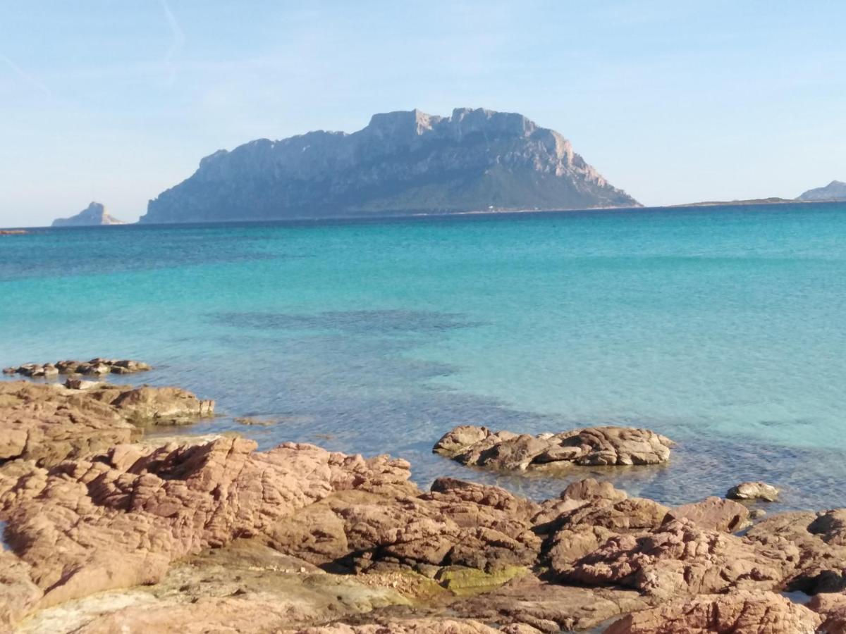 Aria Di Vacanza - Gelsi Ольбія Екстер'єр фото